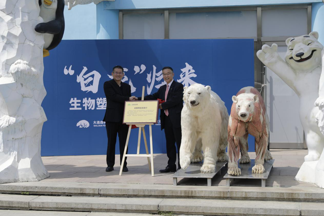 生物塑化.png