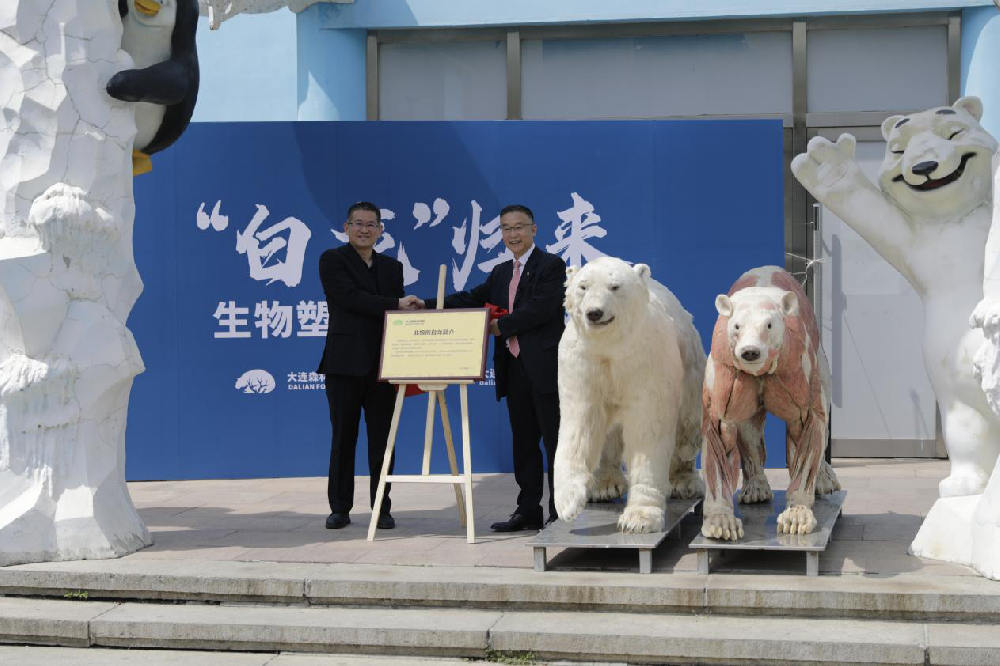 宠物生命艺术展